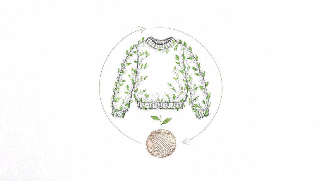Eco Friendly Knitwear: A 2026 Guide to Sustainable Style
