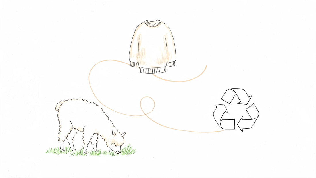 Sustainable Knitwear Brands: Your Guide to Ethical Style
